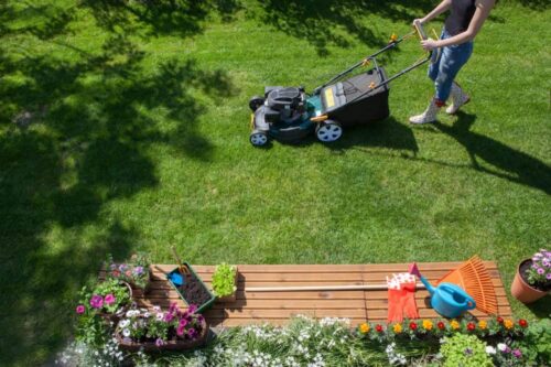 The Problem With Improper Lawn Mowing
